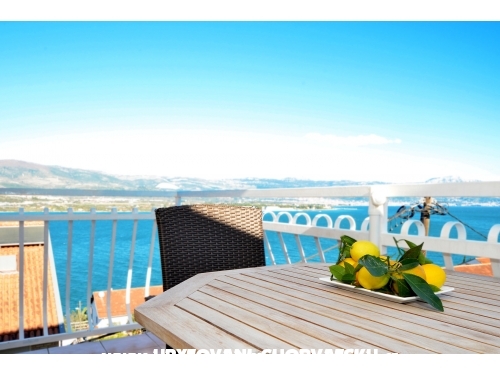 Vongola - Trogir Croatie