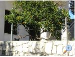 Zele Apartmny - Trogir Chorvatsko