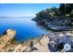 Appartements Nino - Trpanj  Peljeac Croatie