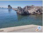 Appartements Nino - Trpanj  Peljeac Croatie