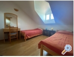 Appartements Zaporat - Trpanj  Peljeac Kroatien