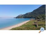 Appartements Zaporat - Trpanj  Peljeac Croatie