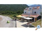 Appartements Zaporat - Trpanj  Peljeac Croatie
