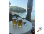 Ferienwohnungen Vidovic - Trpanj  Peljeac Kroatien