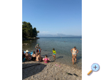 Ferienwohnungen Vidovic - Trpanj  Peljeac Kroatien