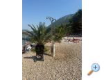 Ferienwohnungen Vidovic - Trpanj  Peljeac Kroatien