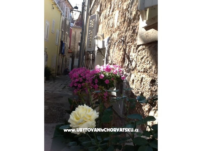 Dragicevic apartments – Ferienwohnung Trpanj – Peljesac, Kroatien – Foto 18