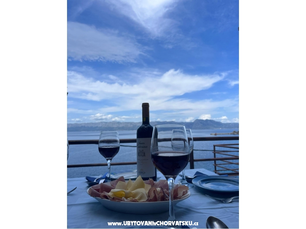 Villa Montana - Seaside  Oasis - Trpanj  Peljeac Croatie