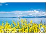 Villa Montana - Seaside  Oasis - Trpanj  Peljeac Croatie