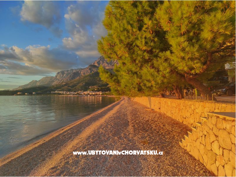 Alba Appartements – Ferienwohnung Tucepi, Kroatien – Foto 15
