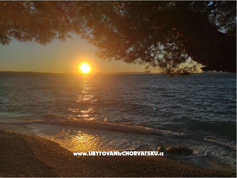 Alba Appartements – Ferienwohnung Tucepi, Kroatien – Foto 17