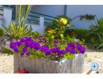 Apartmaji Dalmatina - Tuepi Hrvaka