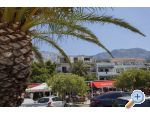Appartements Kraj - Tuepi - Tuepi Croatie