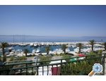 Appartements Kraj - Tuepi - Tuepi Croatie
