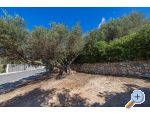 Apartmaji Marta - Tuepi Hrvaka