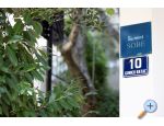Apartmaji Marta - Tuepi Hrvaka