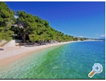 Appartements Maslina - Tuepi Kroatien