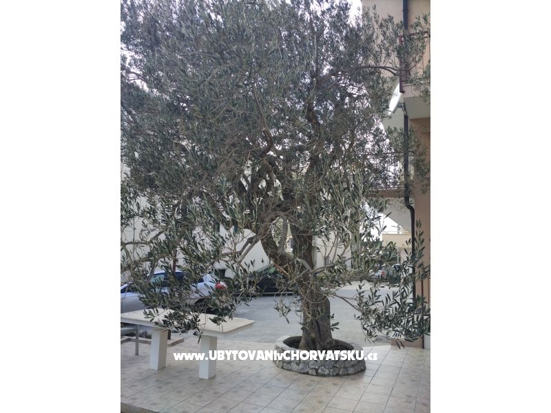 Appartements Mena – Ferienwohnung Tucepi, Kroatien – Foto 4