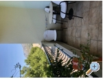 Appartements Mihaljevi-Olea - Tuepi Kroatien