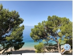 Appartements Mihaljevi-Olea - Tuepi Kroatien