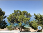 Appartements Mihaljevi-Olea - Tuepi Kroatien