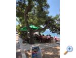 Apartmaji Mihaljevi-Olea - Tuepi Hrvaka