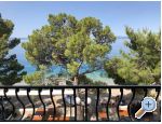 Apartmaji Mihaljevi-Olea - Tuepi Hrvaka