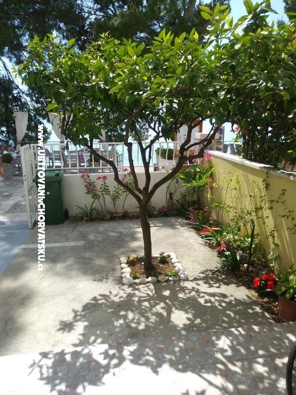 Appartements Mija – Ferienwohnung Tucepi, Kroatien – Foto 10