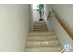 Appartements Moso - Tuepi Kroatien