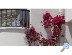 Apartmaji Suzana i Zlatan - Tuepi Hrvaka