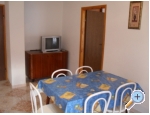 Apartmaji Tri palme - Tuepi Hrvaka