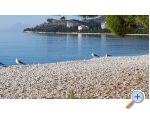 Apartmaji IKO - Tuepi - Tuepi Hrvaka