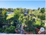 Apartmaji IKO - Tuepi - Tuepi Hrvaka