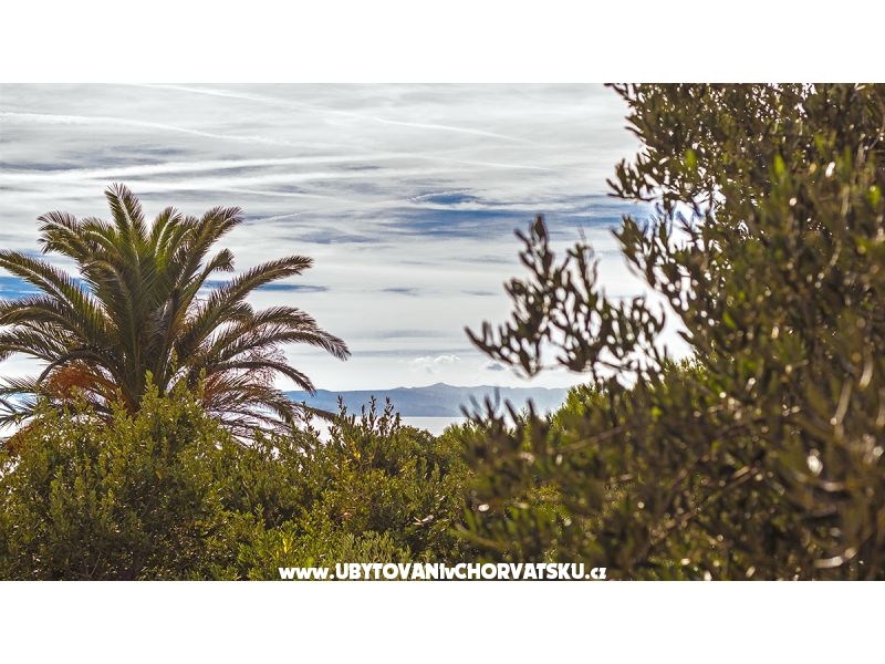 Appartement  Trumbić – Ferienwohnung Tucepi, Kroatien – Foto 10