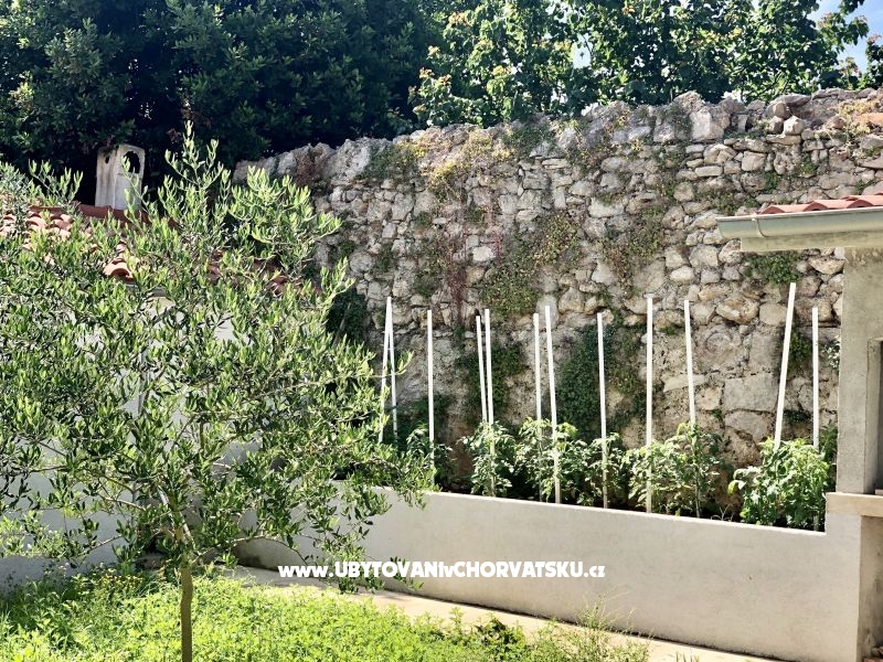 All Beachfront  – Ferienwohnung Insel Ugljan, Kroatien – Foto 15