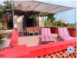 Apartment Bero - ostrov Ugljan Kroatien