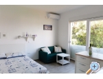 Apartment Kali - ostrov Ugljan Kroatien