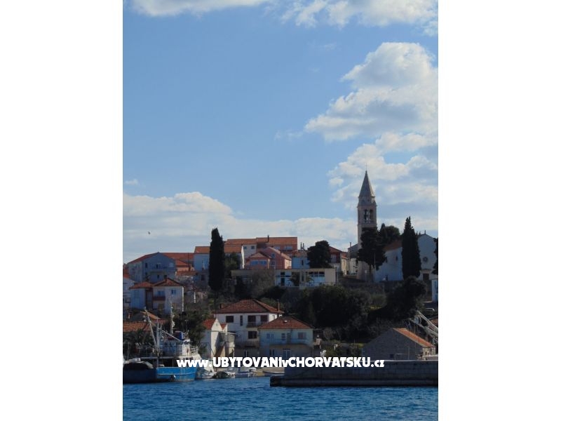 Apartment rosa – Ferienwohnung Insel Ugljan, Kroatien – Foto 3