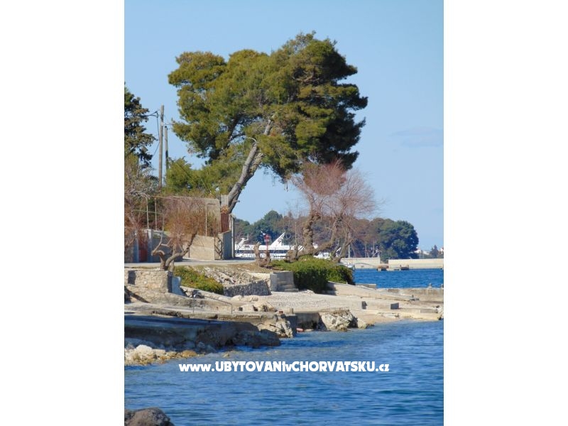 Apartment rosa – Ferienwohnung Insel Ugljan, Kroatien – Foto 4