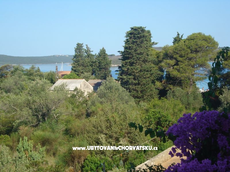 Appartements Branko Vidaković – Ferienwohnung Insel Ugljan, Kroatien – Foto 12