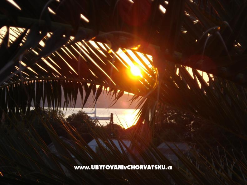 Appartements Branko Vidaković – Ferienwohnung Insel Ugljan, Kroatien – Foto 4