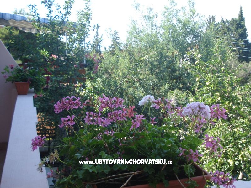 Appartements Branko Vidaković – Ferienwohnung Insel Ugljan, Kroatien – Foto 8