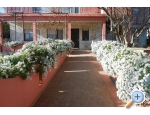 Apartmaji Budi - ostrov Ugljan Hrvaka