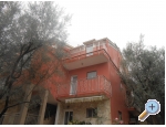 Apartmny Budi - ostrov Ugljan Chorvatsko