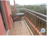Apartmny Budi - ostrov Ugljan Chorvatsko
