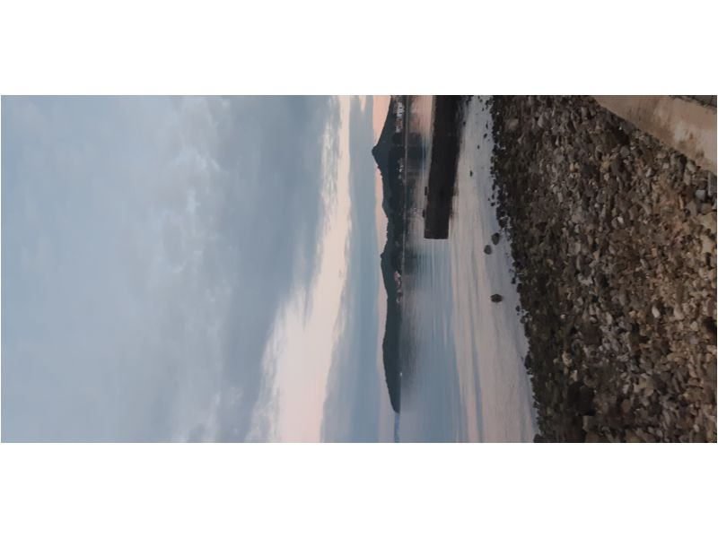 Appartements Galius Ugljan – Ferienwohnung Insel Ugljan, Kroatien – Foto 9