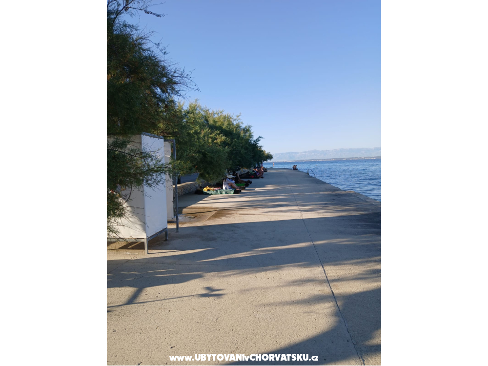 Appartements Galius Ugljan - ostrov Ugljan Kroatien
