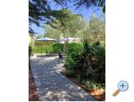 Apartmány Galius Ugljan – ostrov Ugljan – náhled 16