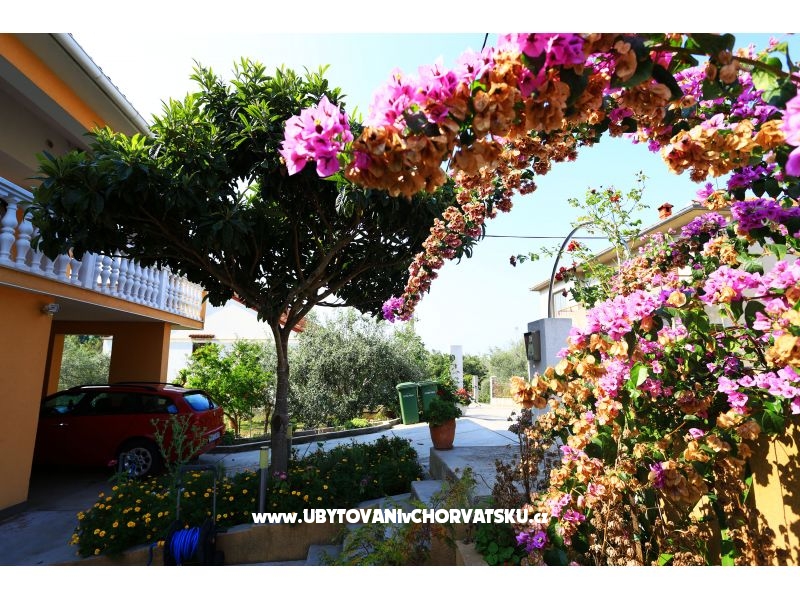 Appartements Gašpe – Ferienwohnung Insel Ugljan, Kroatien – Foto 5