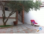 Appartements Gvardiol - ostrov Ugljan Kroatien